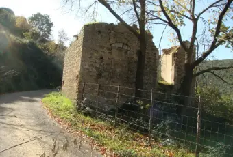 Rexer-Piazza-Armerina-Piazza-Armerina-Terreno-agricolo-ha-casali-agricoli-collabenti-Giardino