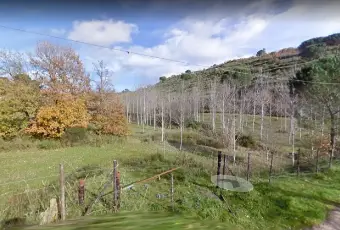 Rexer-Piazza-Armerina-Piazza-Armerina-Terreno-agricolo-ha-casali-agricoli-collabenti-Terrazzo