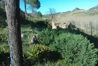 Rexer-Piazza-Armerina-Piazza-Armerina-Terreno-agricolo-ha-casali-agricoli-collabenti-Terrazzo