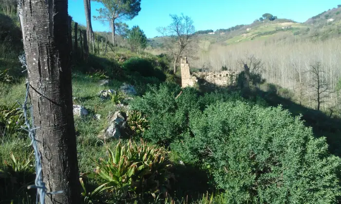 Rexer-Piazza-Armerina-Piazza-Armerina-Terreno-agricolo-ha-casali-agricoli-collabenti-Terrazzo