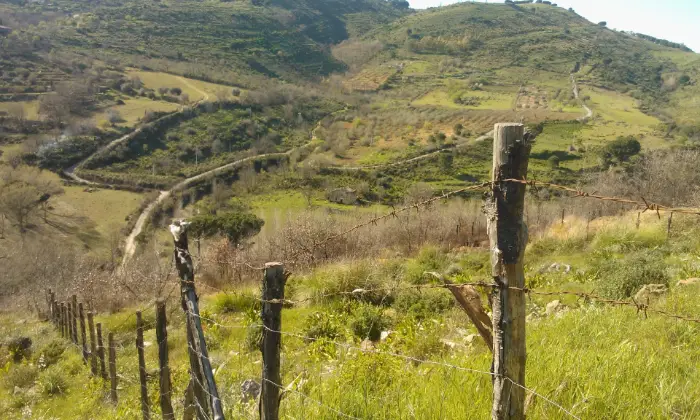 Rexer-Piazza-Armerina-Piazza-Armerina-Terreno-agricolo-ha-casali-agricoli-collabenti-Terrazzo