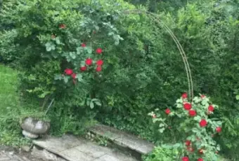 Rexer-Asti-Appartamento-in-vendita-in-localit-Boana-Giardino