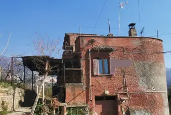 Rexer-Piglio-Vendesi-casa-rurale-in-Contrada-Coce-a-Piglio-Giardino