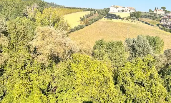 Rexer-Monsampolo-del-Tronto-Vendesi-Appartamento-a-Terrazzo
