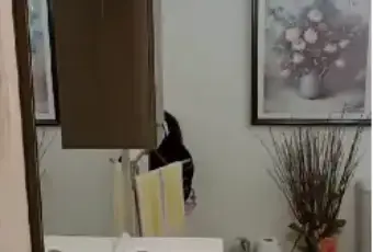 Rexer-Beverino-Appartamento-in-vendita-LOCATO-USO-INVESTIMENTO-CON-INQUILINO-DENTRO-Bagno