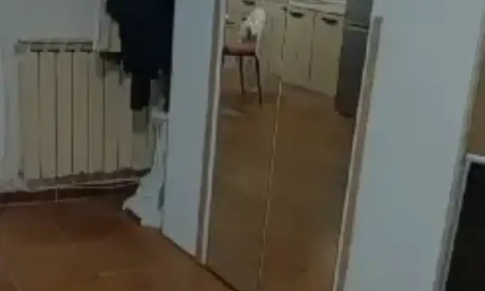 Rexer-Beverino-Appartamento-in-vendita-a-Beverino-La-Spezia-Altro
