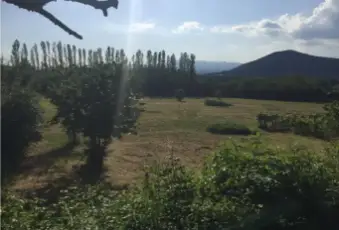 Rexer-Pietramelara-Casalecascina-in-vendita-in-via-Campania-Terrazzo