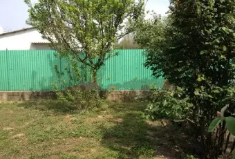 Rexer-Alice-Castello-Casa-indipendente-con-giardino-fronteretro-Giardino