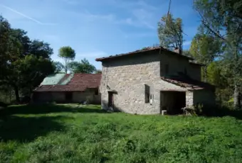 Rexer-Chiusi-della-Verna-Propriet-rustica-in-vendita-a-Chiusi-della-Verna-Giardino