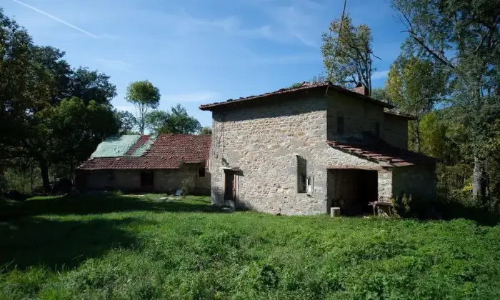 Rexer-Chiusi-della-Verna-Propriet-rustica-in-vendita-a-Chiusi-della-Verna-Giardino