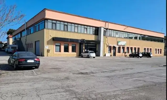 Rexer-Falconara-Marittima-Magazzino-a-Falconara-Marittima-AN-ALTRO