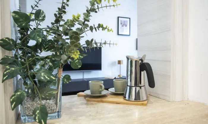 Rexer-Ciampino-BILOCALE-CON-ELEGANTE-ZONA-LIVING-Altro