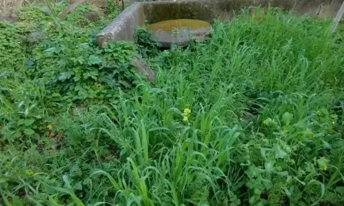 Rexer-Albanella-Rustico-in-costruzione-con-ampio-terreno-panoramico-Giardino