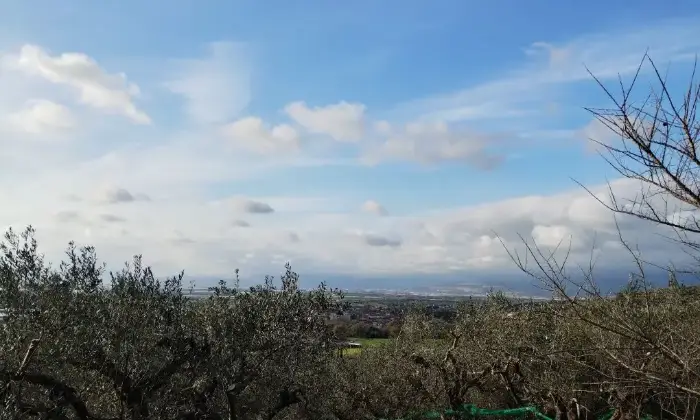 Rexer-Albanella-Rustico-in-costruzione-con-ampio-terreno-panoramico-Terrazzo