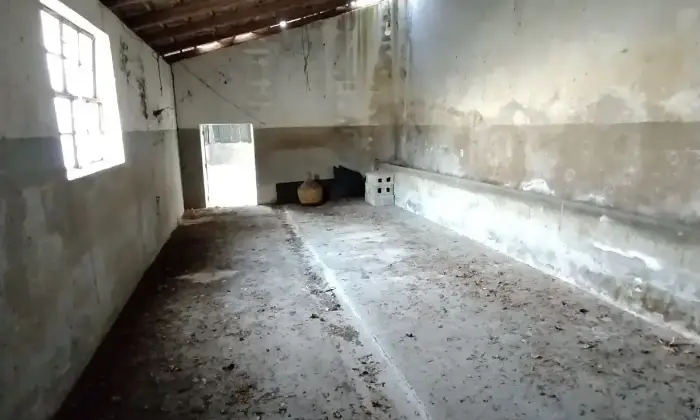Rexer-Albanella-Rustico-in-costruzione-con-ampio-terreno-panoramico-Altro