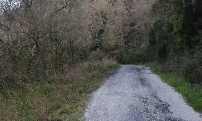 Rexer-Albanella-Rustico-in-costruzione-con-ampio-terreno-panoramico-Altro