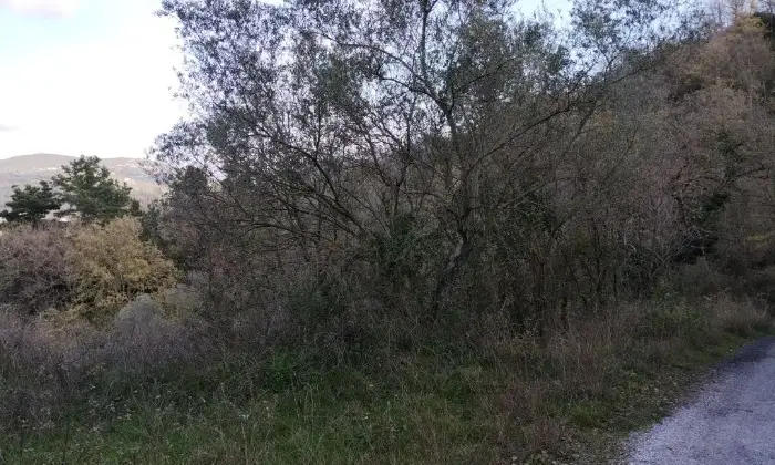 Rexer-Albanella-Rustico-in-costruzione-con-ampio-terreno-panoramico-Altro