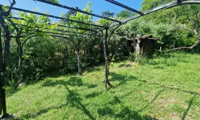 Rexer-Vasto-VILLA-VISTA-MARE-CON-GIARDINO-Giardino