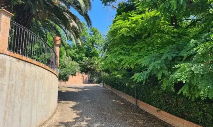 Rexer-Vasto-VILLA-VISTA-MARE-CON-GIARDINO-Giardino