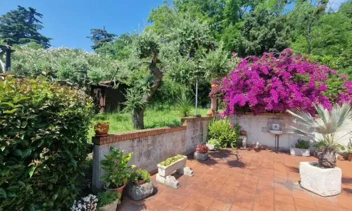 Rexer-Vasto-VILLA-VISTA-MARE-CON-GIARDINO-Giardino