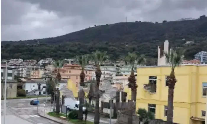 Rexer-Vibo-Valentia-Bilocale-via-Stazione-Vibo-Marina-Vibo-Valentia-Giardino