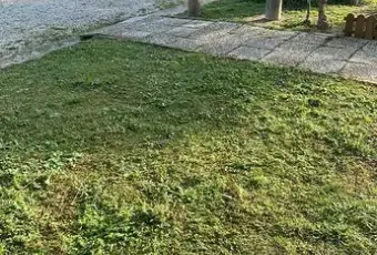 Rexer-Berra-Vendesi-Villa-a-RIVA-DEL-PO-Giardino