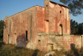 Rexer-Squinzano-Propriet-rustica-in-vendita-in-via-Faraschita-a-Squinzano-Giardino
