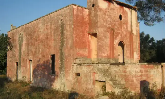 Rexer-Squinzano-Propriet-rustica-in-vendita-in-via-Faraschita-a-Squinzano-Giardino