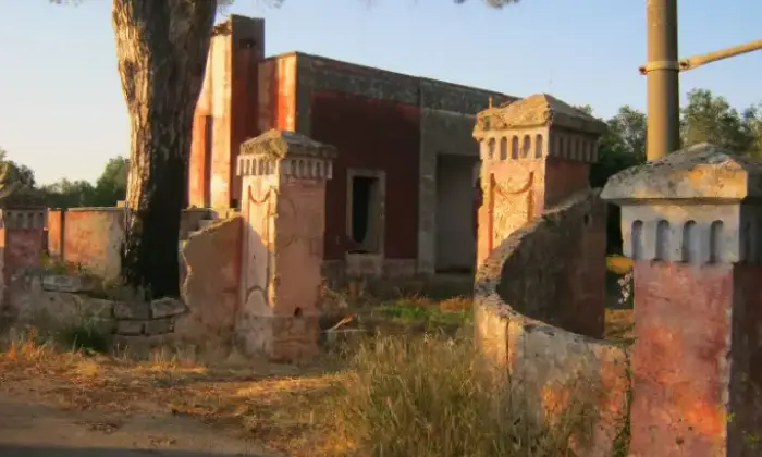 Rexer-Squinzano-Propriet-rustica-in-vendita-in-via-Faraschita-a-Squinzano-Giardino