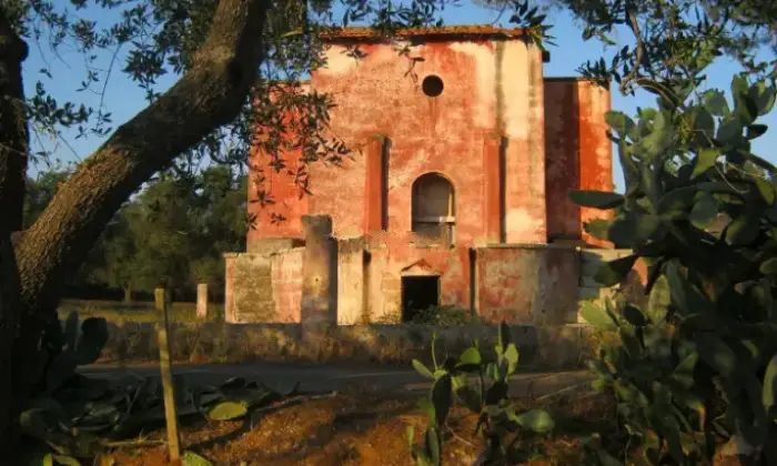 Rexer-Squinzano-Propriet-rustica-in-vendita-in-via-Faraschita-a-Squinzano-Giardino