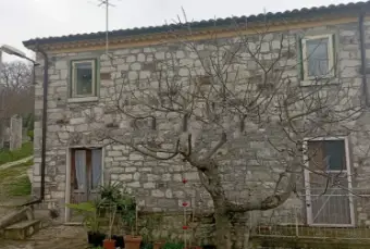 Rexer-Trivento-Casalecascina-in-vendita-in-contrada-Vivara-Giardino