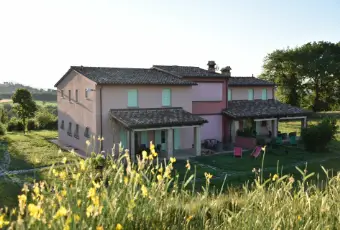 Rexer-Cagli-Incantevole-casa-vacanze-con-piscina-nelle-Marche-Giardino