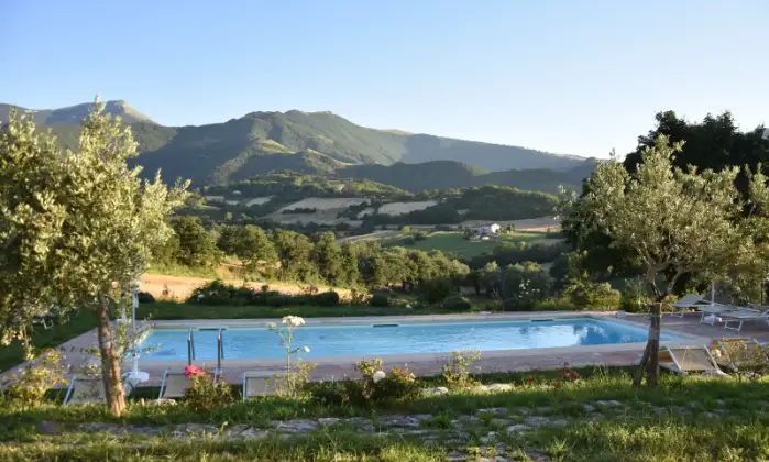 Rexer-Cagli-Incantevole-casa-vacanze-con-piscina-nelle-Marche-Giardino