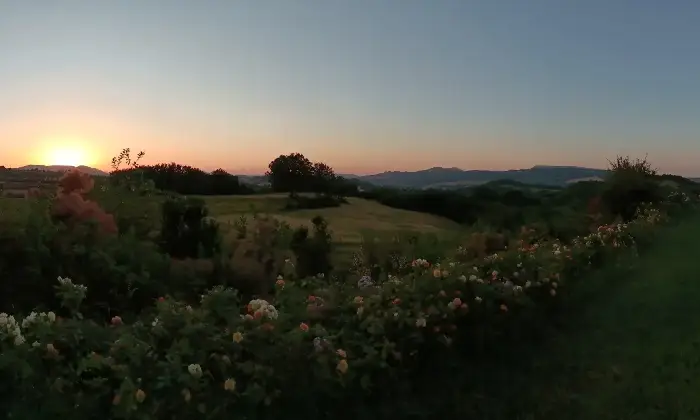 Rexer-Cagli-Incantevole-villa-con-piscina-nelle-Marche-Giardino
