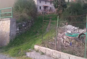 Rexer-San-Severino-Lucano-IMMOBILE-RUSTICO-A-SAN-SEVERINO-LUCANO-Giardino