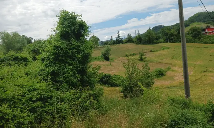 Rexer-Piozzano-Rustico-in-vendita-in-Strada-di-Vidiano-a-Piozzano-Altro