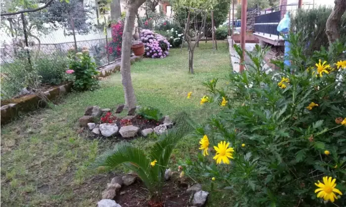 Rexer-Latina-Appartamento-in-Via-della-Stella-Alpina-Latina-Giardino