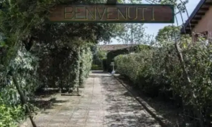 Rexer-Grosseto-Tenuta-con-residenza-struttura-ricettiva-terreno-e-potenzialit-edificatoria-Giardino