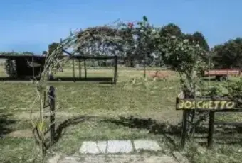 Rexer-Grosseto-Tenuta-con-residenza-struttura-ricettiva-terreno-e-potenzialit-edificatoria-Giardino