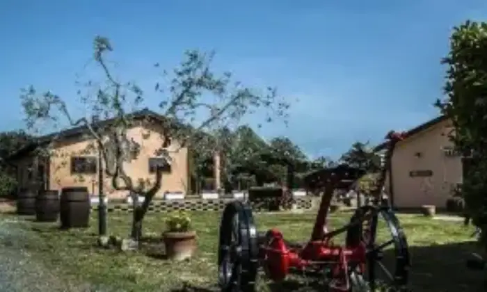 Rexer-Grosseto-Tenuta-con-residenza-struttura-ricettiva-terreno-e-potenzialit-edificatoria-Giardino
