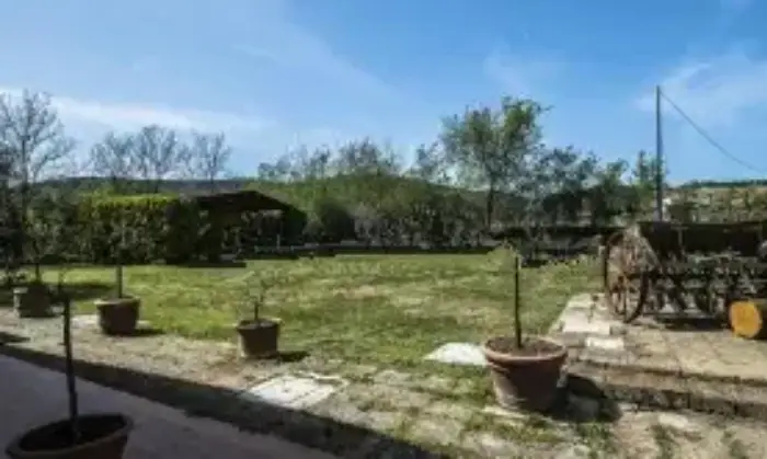 Rexer-Grosseto-Tenuta-con-residenza-struttura-ricettiva-terreno-e-potenzialit-edificatoria-Giardino