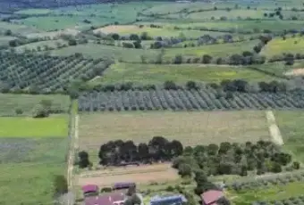 Rexer-Grosseto-Tenuta-con-residenza-struttura-ricettiva-terreno-e-potenzialit-edificatoria-Terrazzo