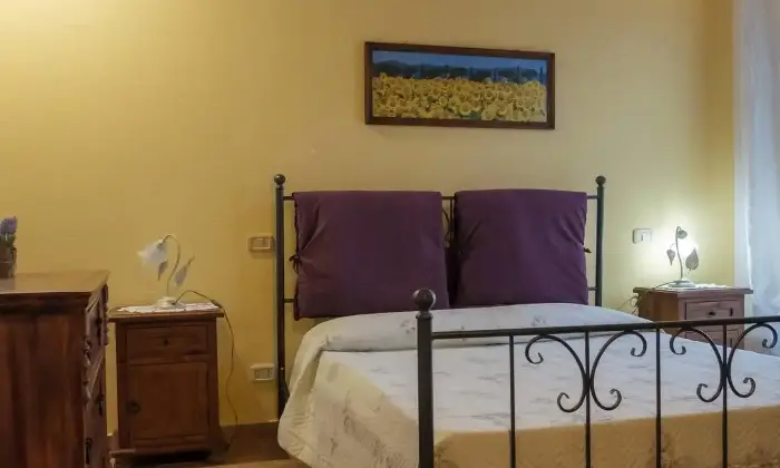 Rexer-Grosseto-Tenuta-con-residenza-struttura-ricettiva-terreno-e-potenzialit-edificatoria-Altro