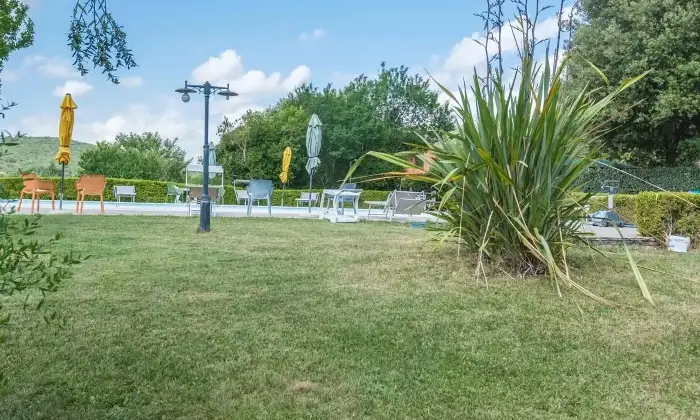 Rexer-Grosseto-Tenuta-con-residenza-struttura-ricettiva-terreno-e-potenzialit-edificatoria-Altro