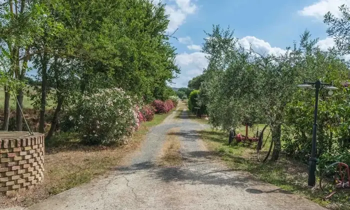 Rexer-Grosseto-Tenuta-con-residenza-struttura-ricettiva-terreno-e-potenzialit-edificatoria-Altro