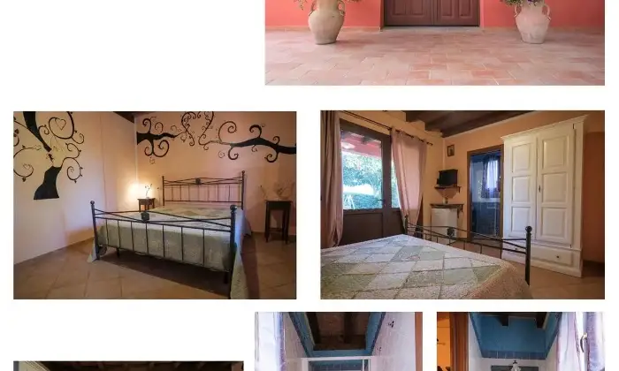 Rexer-Grosseto-Tenuta-con-residenza-struttura-ricettiva-terreno-e-potenzialit-edificatoria-Altro