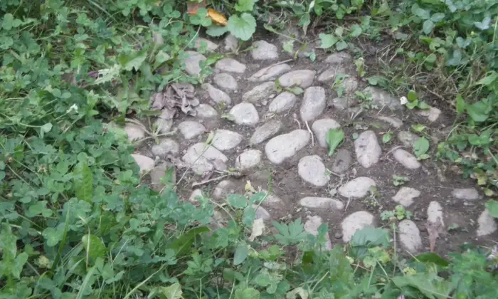 Rexer-Mondov-Casale-con-terreno-in-vendita-in-Localit-Curetti-Mondov-CN-Altro