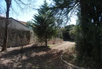 Rexer-Tricesimo-Villa-storica-con-depandance-vendesi-Giardino