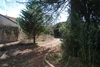 Rexer-Tricesimo-Villa-storica-con-depandance-vendesi-Giardino