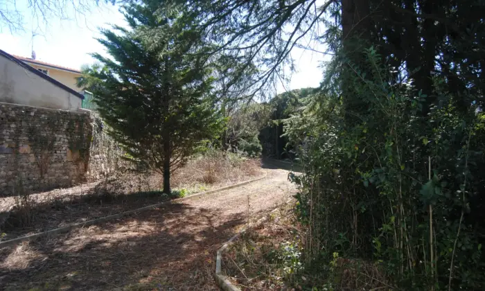 Rexer-Tricesimo-Villa-storica-con-depandance-vendesi-Giardino